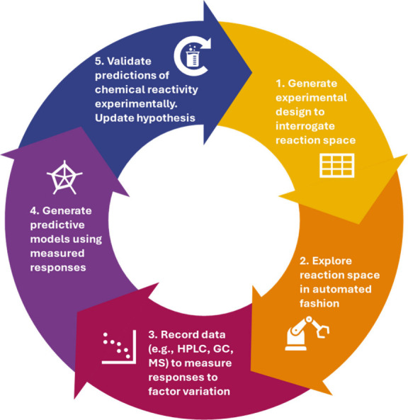Five-stage cycle: generate an experimental design to interrogate reaction space, explore that space in automated fashion, record data by HPLC, GC or MS, generate predictive models from the measured responses, then validate the predictions experimentally and update the hypothesis.